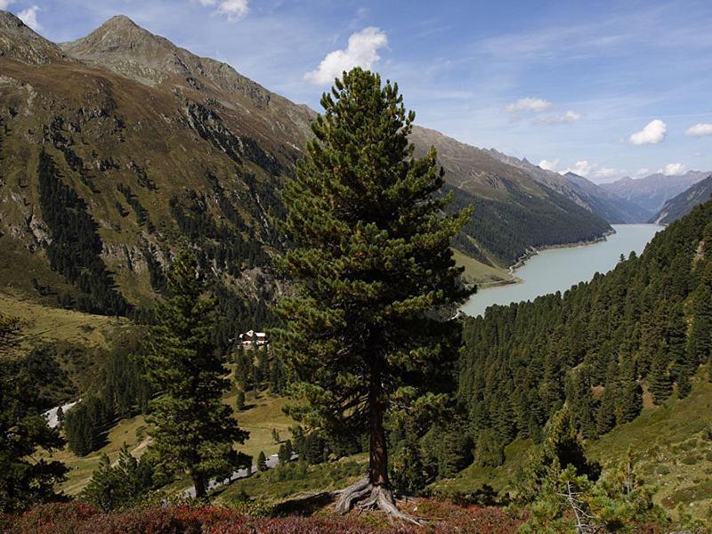 Plattnerhof Kaunertal Dış mekan fotoğraf