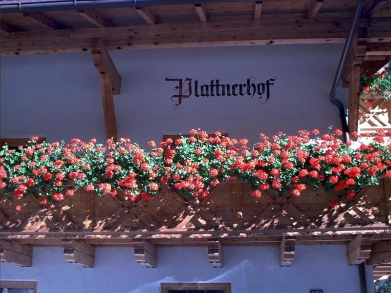 Plattnerhof Kaunertal Oda fotoğraf